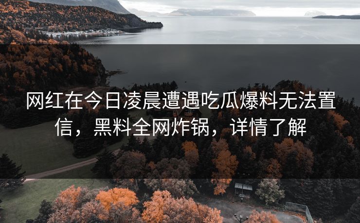 网红在今日凌晨遭遇吃瓜爆料无法置信，黑料全网炸锅，详情了解