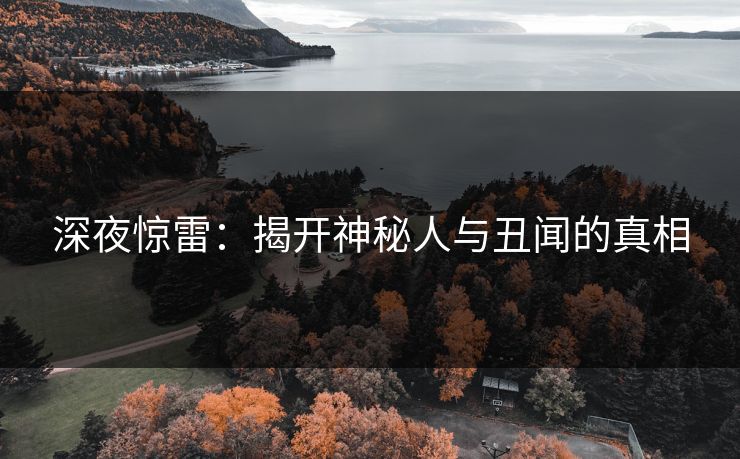 深夜惊雷：揭开神秘人与丑闻的真相